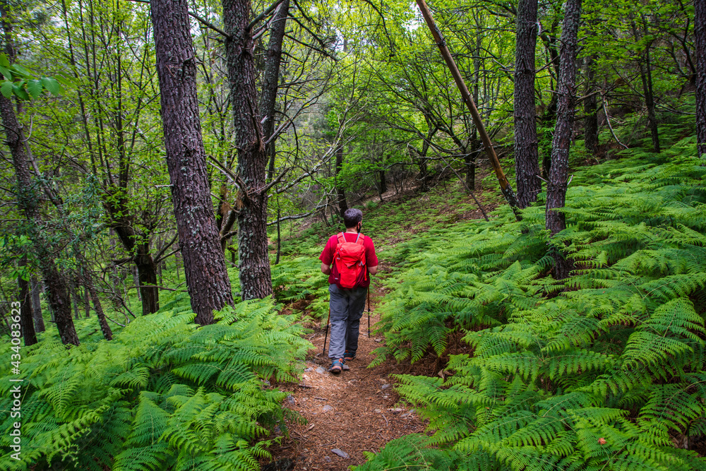 Obraz premium Man Hiking. Stock Photo Of A Man Hiking In Las Hurdes North Of Cáceres-Spain.