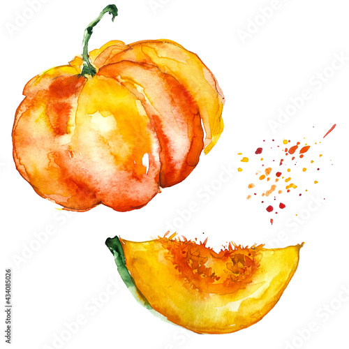 Pumpkin watercolor. Set on an isolated white background. The fruits of the pumpkin-orange, pumpkin pieces, seeds. On isolated white background. Orange vegetable. Autumn harvest. Splash of paint. 