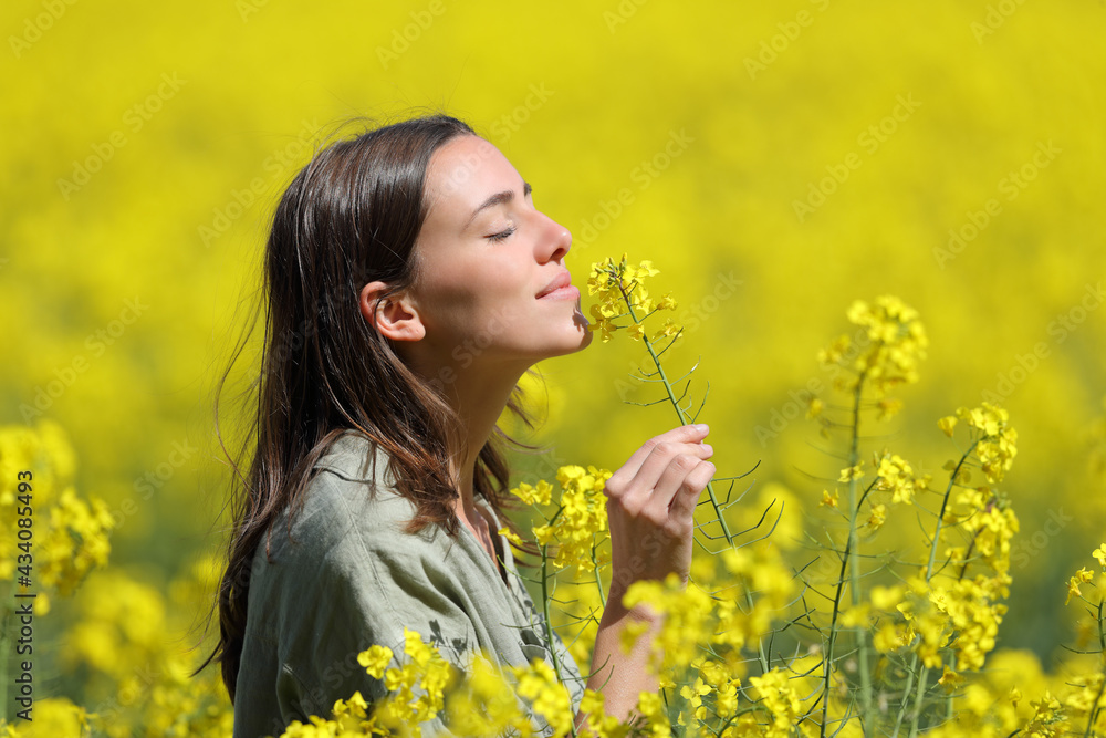 Woman smelling flowers in a yellow field - obrazy, fototapety, plakaty 