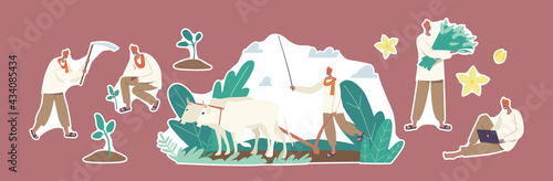 Set of Stickers Indian Farmers Characters Work. Rural Man Plowing Field by Cow and Hoe, Planting and Collect Harvest