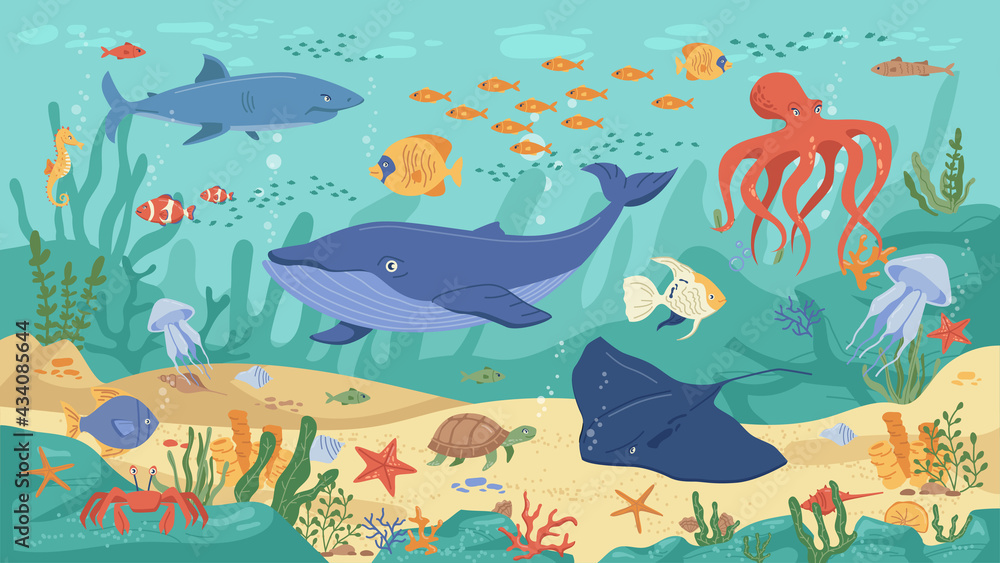 Ocean animals, underwater life, coral reefs and seaweeds, flat cartoon  background Vector childish kids marine creatures. Algae and seashells,  shark, turtle, squid and clown fish, jellyfish and whale Stock Vector |  Adobe