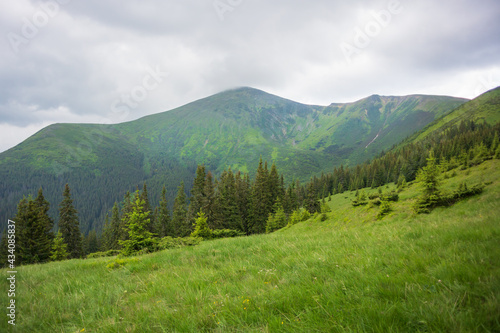Summer time, Carpathian mountains