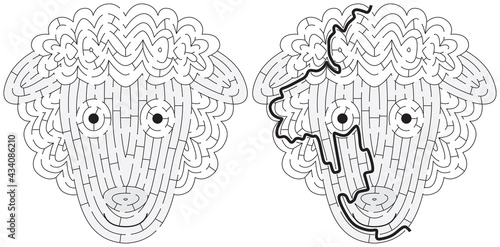 Sheep maze