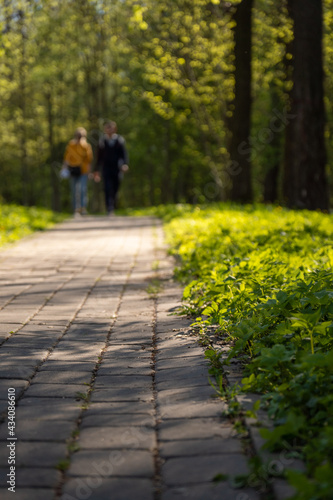 Couple of people walking along the path in the park in spring