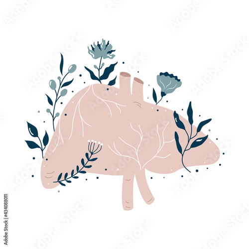 Anatomical liver with flowers and different plants.