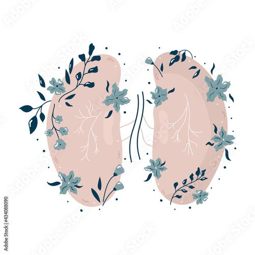 Anatomical kidneys with flowers and different plants.