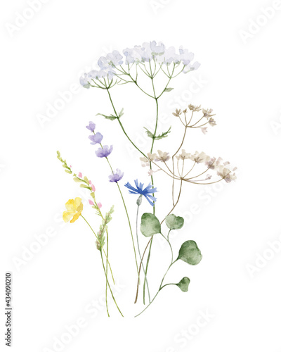 Watercolor vector arrangement of with wildflower flowers.