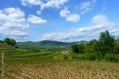 Rural landscape at Montevecchia park near Lissolo, Brianza, Italy