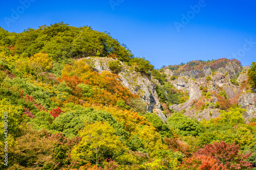 【香川県 小豆島】紅葉した秋の寒霞渓 自然風景 