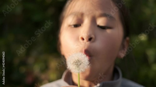 Asian girl blowing dandelion in the sun