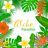 tropical exotic leaves and flowers plants  frame background. floral foliage backdrop with palm tree banana monstera leaf hibiscus heliconia bird of paradise frangipani