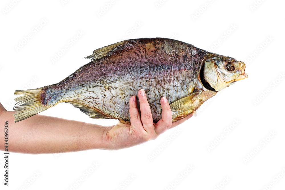 Hand hold giant cured bream fish isolated on a white background Hand hold giant cured bream fish isolated on a white background