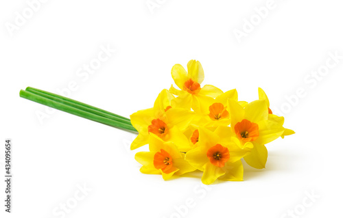 Spring floral border, beautiful fresh daffodils flowers, isolated on white background. Selective focus
