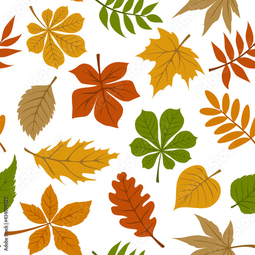 seamless pattern with fall autumn leaves on white background