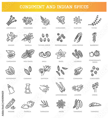Condiment icons set. Outline set of condiment vector icons