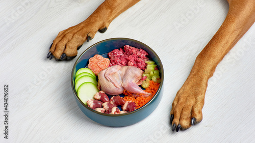 Raw natural dog food. Fresh meat and vegetables in bowl and dog paws on white background. BARF dog diet.