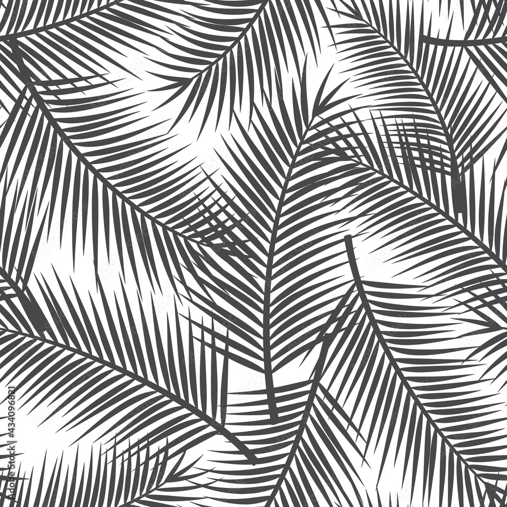 black and white palm leaf seamless pattern