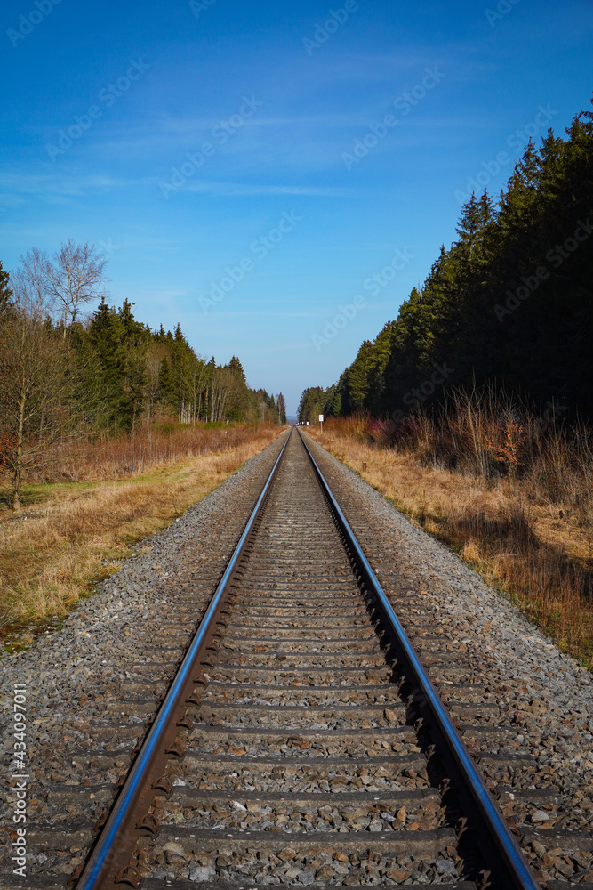 Endlose Bahngleise in den Wald