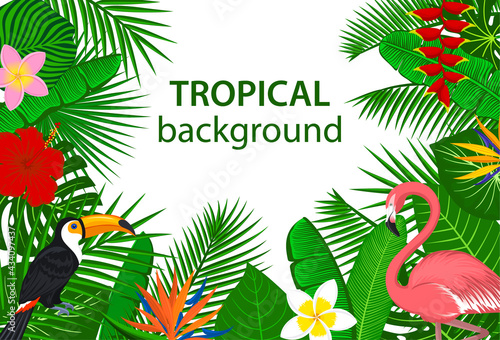 tropical jungle rainforest plants flowers birds, flamingo , toucan border background.