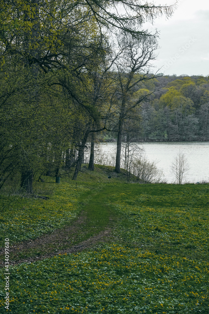 Fototapeta premium autumn in the park