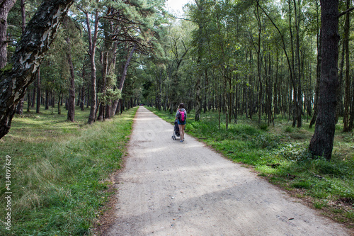 Droga las Słowiński Park Narodowy © ukasz