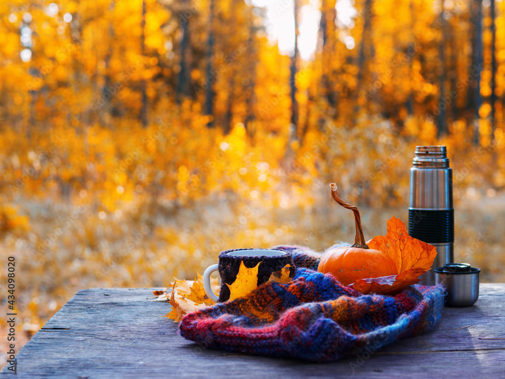 A cup of hot coffee or tea, a colorful knitted warm autumn scarf. Autumn still life in a colorful forest. Thanksgiving Greeting Card A cup of hot coffee or tea, a colorful knitted warm autumn scarf. Autumn still life in a colorful forest. Thanksgiving Greeting Card