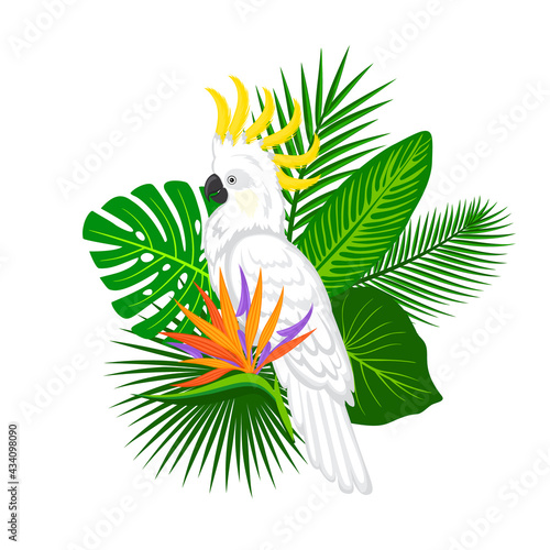 tropical plants leaves flower arrangement with cockatoo parrot