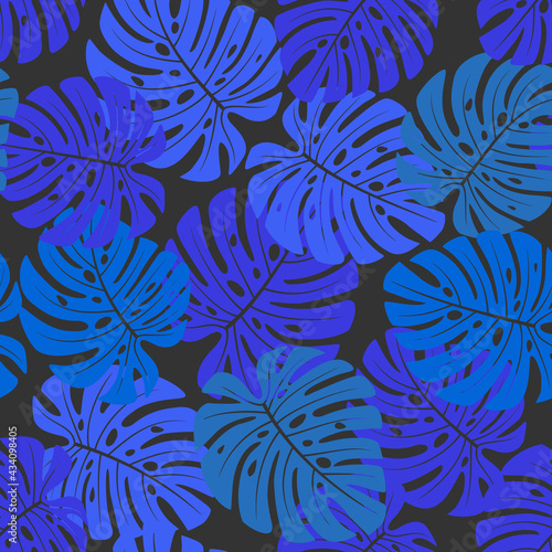 Fototapeta Naklejka Na Ścianę i Meble -  summer night tropical pattern with blue monstera leaves