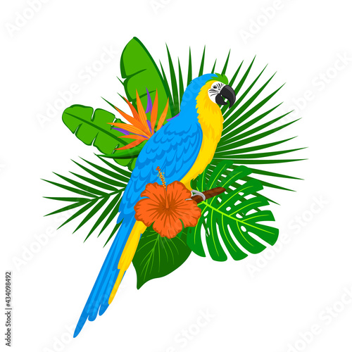 tropical plants leaves flower arrangement with blue yellow macaw