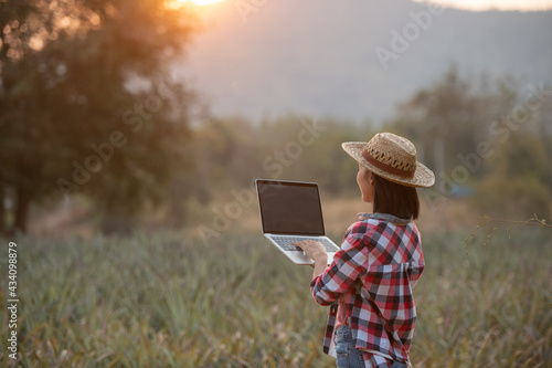 Asian female farmer see growth of pineapple in farm, agricultural Industry, agriculture business concept. Innovation technology for smart farm system, farmer occupation. farmer holding laptop in field © nareekarn