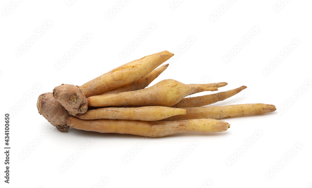 Finger root (Krachai) isolated on white background,herb. Finger root (Krachai) isolated on white background,herb.