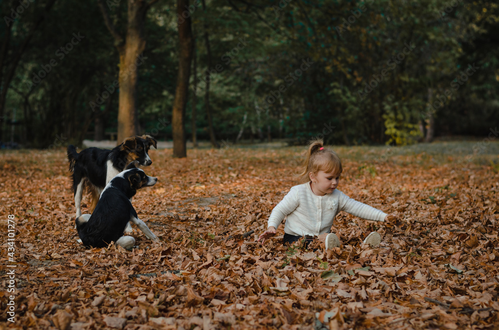 Little sitting on fallen leaves in the park Little sitting on fallen leaves in the park