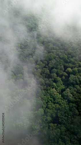 Aerial photography of a forest with smog 