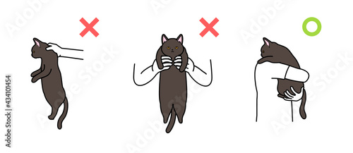 猫の抱き上げ方　良い例と悪い例　黒猫