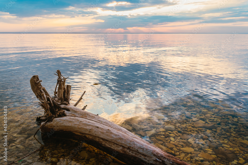Scenic view of a beautiful sunset or sunrise over a river on a spring evening with a cloudy sky background and stick trees in the foreground. Landscape. Water reflection.