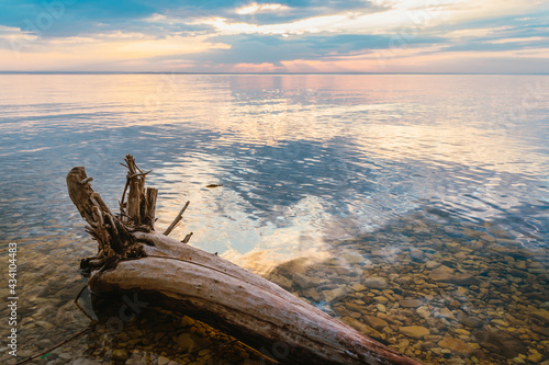 Scenic view of a beautiful sunset or sunrise over a river on a spring evening with a cloudy sky background and stick trees in the foreground. Landscape. Water reflection.