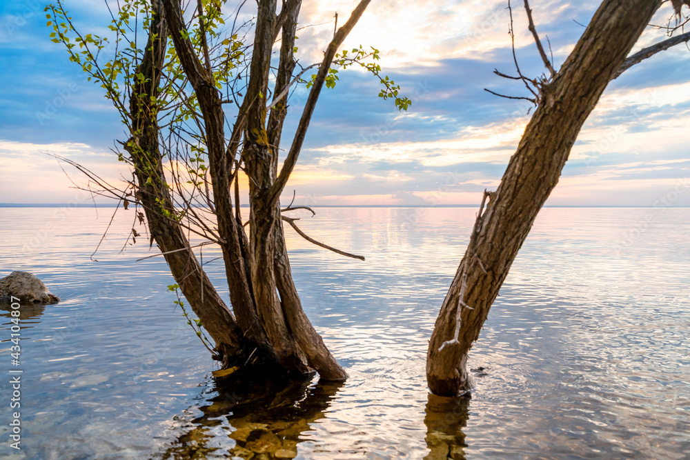 Scenic view of a beautiful sunset or sunrise over a river on a spring evening with a cloudy sky background and stick trees in the foreground. Landscape. Water reflection. Scenic view of a beautiful sunset or sunrise over a river on a spring evening with a cloudy sky background and stick trees in the foreground. Landscape. Water reflection.