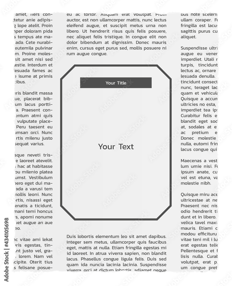 Fototapeta premium newspapers with lorem ipsum text and empty box