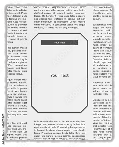 newspapers with lorem ipsum text and empty box