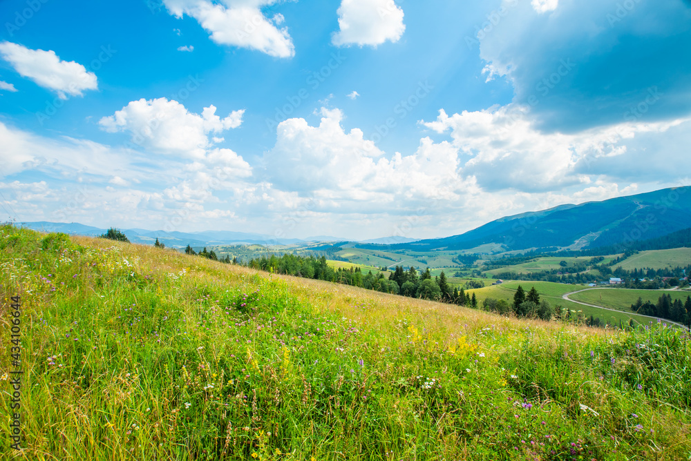 meadow covered with grass and plants on a background of mountains on a warm summer day blue sky in the clouds. Landscape of green mountains.
