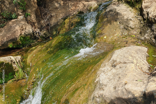 a mountain stream high in the mountains of northern Israel