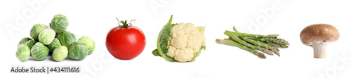 Wallpaper Mural Collection of different fresh vegetables on white background. Banner design Torontodigital.ca