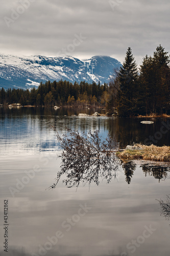 Spring in Hemsedal, Norway. The snow is melting and summer is coming. Beautiful landscape in a over casted day.  © SteinOve