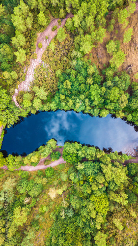 Forêt de Brocéliande