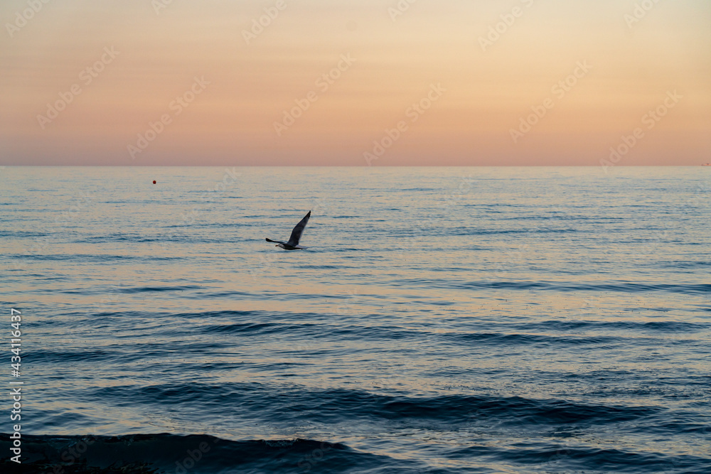 Fototapeta premium sunset Time in Liguria Italy