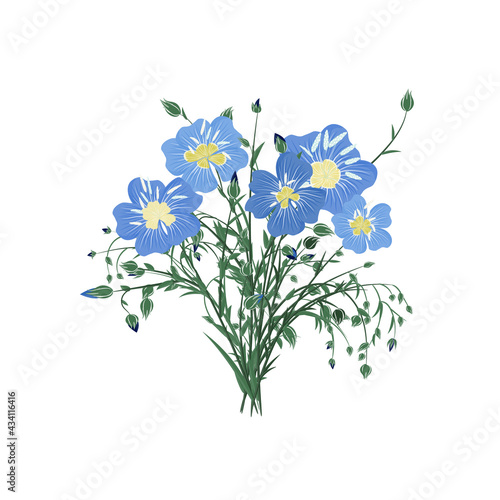 A bouquet of flax flowers isolated on a white background. A bunch of blue flowers with buds and leaves. Vector illustration in cartoon style
