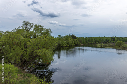 Clouds over the horizon. Landscape with a river and bushes along the shore. Bright green trees and bushes. Early spring.
