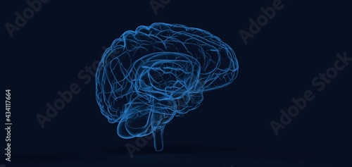 Fototapeta Naklejka Na Ścianę i Meble -  Colorful polygonal 3D brain illustration on BG.