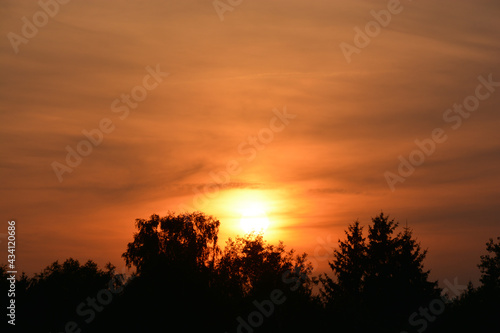 Sunset behind trees