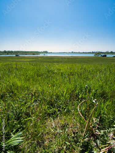 Beautiful view of the long grassy field surrounding the lkae under the blue sky photo